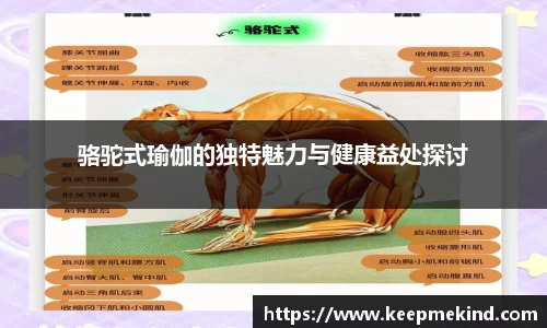 JBO官网平台