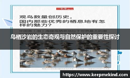 鸟栖沙岩的生态奇观与自然保护的重要性探讨